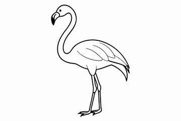 Fototapeta premium flamingo line art vector, tropical bird flamingo line drawing 