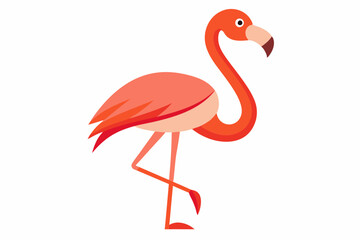 Pink flamingo on a white background