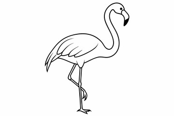 flamingo line art vector, tropical bird flamingo line drawing	