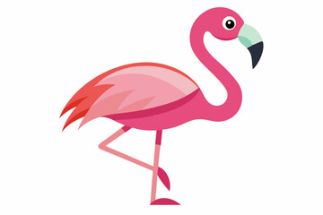 Pink flamingo on a white background