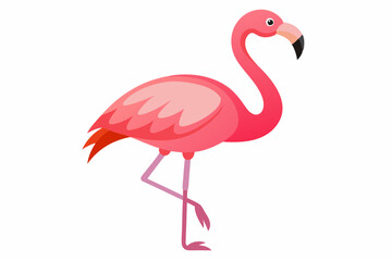 Pink flamingo on a white background