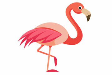 Pink flamingo on a white background