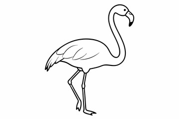 flamingo line art vector, tropical bird flamingo line drawing	
