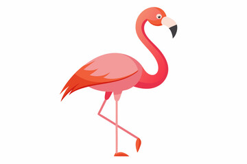 Pink flamingo on a white background