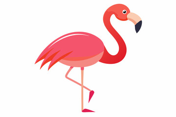 Pink flamingo on a white background