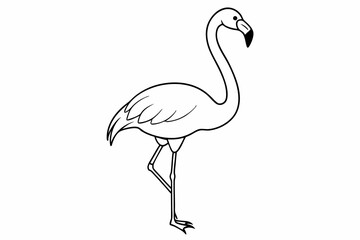 flamingo line art vector, tropical bird flamingo line drawing	