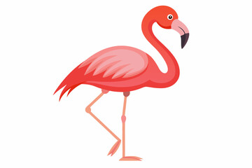 Pink flamingo on a white background