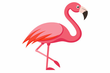 Pink flamingo on a white background