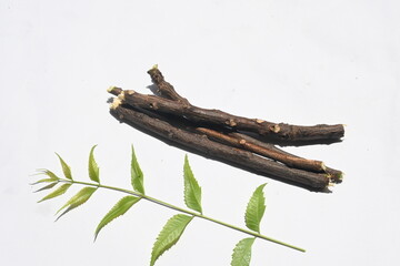 Neem or Azadirachta indica stick on white background. 
This is used to clean teeth. In India, teeth are cleaned with a similar wooden stick. Azadirachta indica stick. Natural toothbrush.