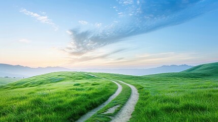 Fototapeta premium A road winds through a lush green field with a clear blue sky overhead