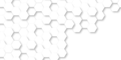 White Hexagonal Background. Luxury White Pattern. Vector Illustration. 3D Futuristic abstract honeycomb mosaic white background. geometric mesh cell texture. modern futuristic wallpaper.