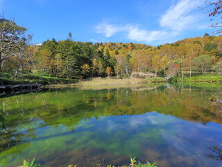 万座温泉　紅葉の牛池