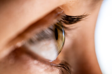 A macro view of a woman's eye, cornea, and eyelashes