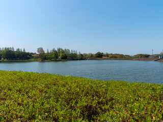 蜻蛉池公園の大池