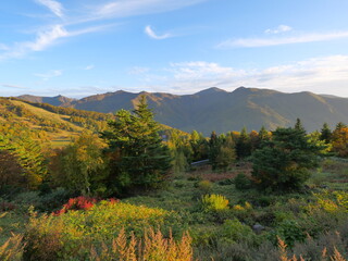 長野県　高山村　山田牧場付近の紅葉