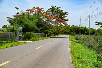 road in the countryside