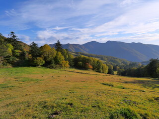 長野県　高山村　山田牧場付近の紅葉