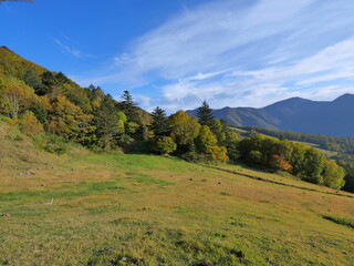 長野県　高山村　山田牧場付近の紅葉