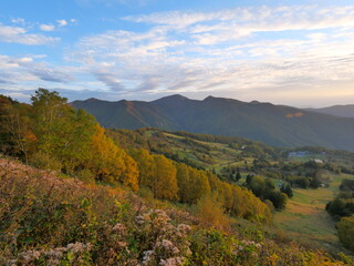 長野県　高山村　山田牧場付近の紅葉