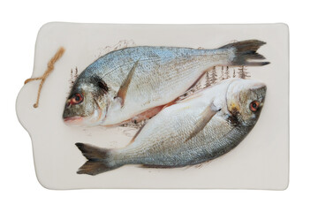 Fish on ceramic board isolated on white background. Raw dorado is ready for cooking. Top view.