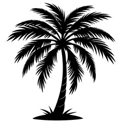Obraz premium Palm Tree icon vector silhouette illustration