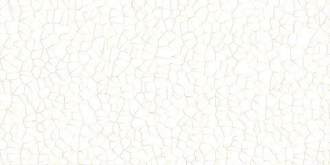 Abstract broken glass quartz geometric retro tiles pattern voronoi diagram.