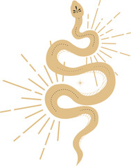 Fototapeta premium Celestial serpent snake, esoteric tarot or tattoo mystery sacred symbol 