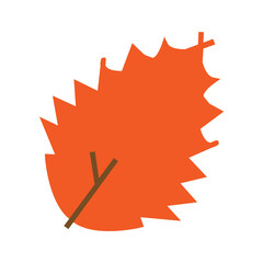 illustration of a leaf