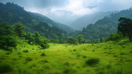 Obraz premium Majestic view of beautiful lush green valley with trees and colorful grass against picturesque high mountains. 