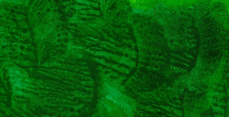 Captivating Translucence: Unleashing the Charm of Liquid Art in Oil Paint
