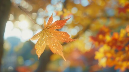 Autumn maple leaf close up in kyushu, japan, with vibrant details and soft background, vsco editing