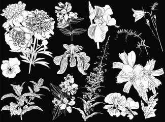 twelve flower pictures collection isolated on black