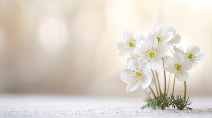 Delicate white flowers with a soft focus background, evoking a sense of purity and tranquility. Perfect for spring and nature-themed projects.