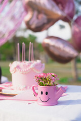 birthday picnic in park in pink color