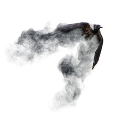 flying crow from dark grey smoke on white