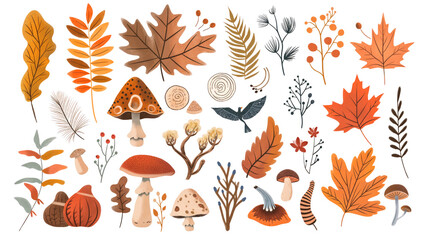 Autumn forest hand drawn elements