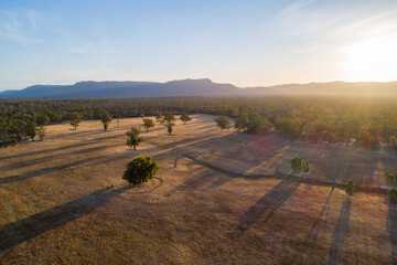 A vast open field at sunset with scattered trees casting long shadows and distant mountains.