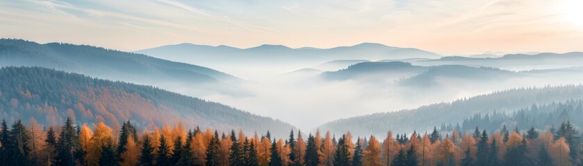 Obraz premium A misty mountain range with a forest of autumn trees. The landscape is tinged with morning haze under a partially clouded sky.
