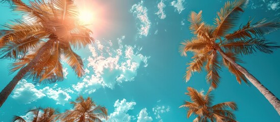 Tropical Paradise: Palm Trees and a Bright Blue Sky