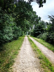 Fototapeta premium path in the park