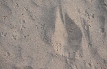 Traces of sand patterns on the beach