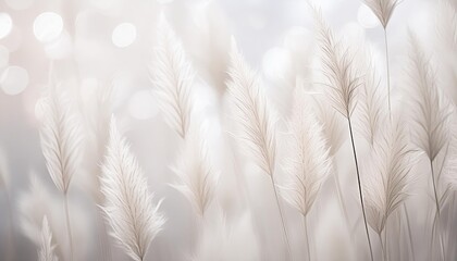 Decorative grasses, wallpapers in autumn pastel colors with space for text