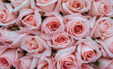 Bouquets of flowers are given as gifts on various occasions.