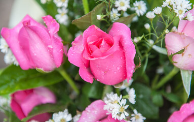 Bouquets of flowers are given as gifts on various occasions.