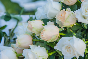 Bouquets of flowers are given as gifts on various occasions.