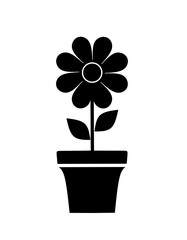 vector flower in pot on white background