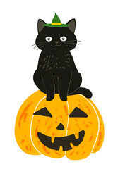 Cute black cat wearing a witch hat sitting on a carved pumpkin