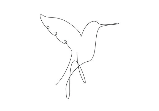 recommend clip art: One line drawing of birds, line drawing art of birds, Continuous line single stroke drawing