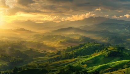 Obraz premium Golden Hour Over Rolling Hills