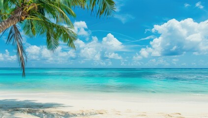 Palm Tree Overlooking Tropical Beach